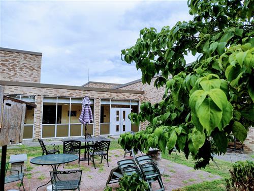 LMS Courtyard